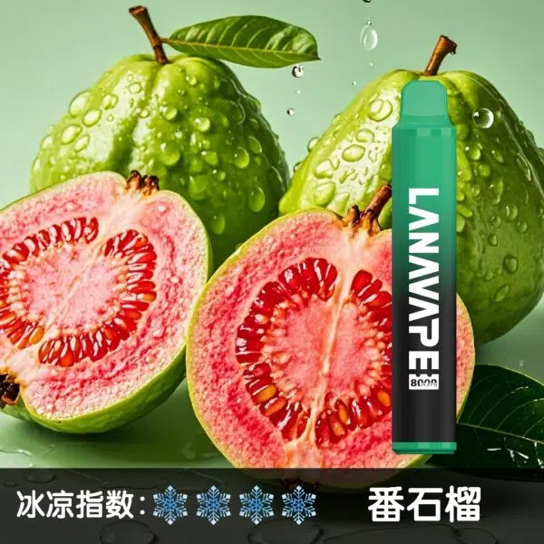 Lanavape8000口拋棄式電子煙 LANA ZOLT系列一次性|可充電:圖片 6